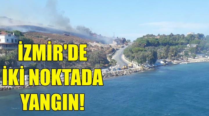 İzmir'de iki noktada yangın!