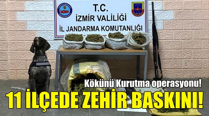 İzmir'de jandarmadan Kökünü Kurutma operasyonu!