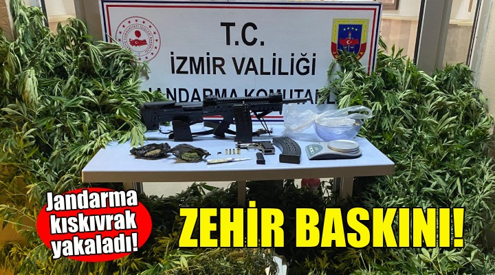 İzmir'de jandarmadan uyuşturucu operasyonu!