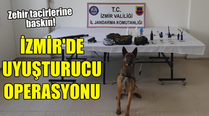 İzmir'de jandarmadan uyuşturucu operasyonu!