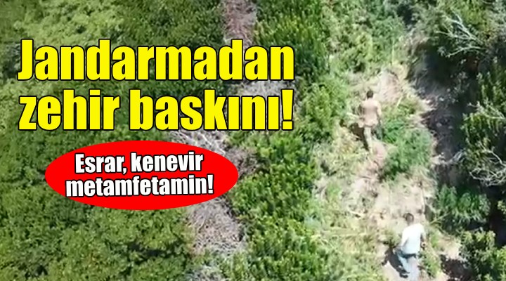 İzmir'de jandarmadan zehir baskını!
