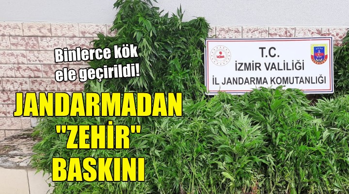 İzmir'de jandarmadan 'zehir' baskını