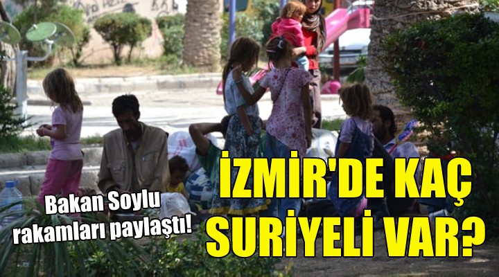 İzmir'de kaç Suriyeli var!