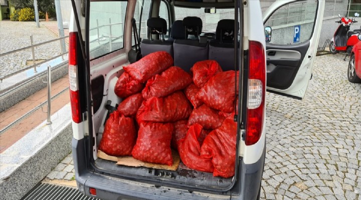 İzmir'de kaçak avlanmış 400 kilogram midye ele geçirildi