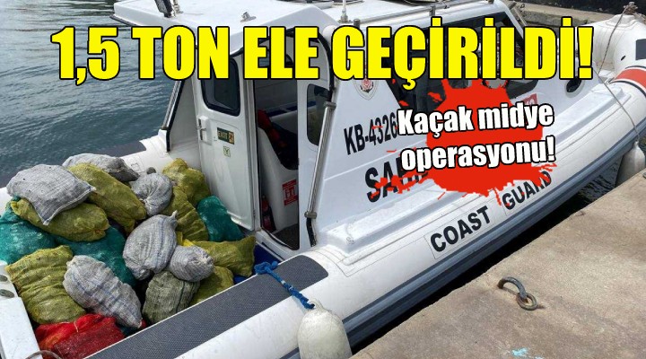 İzmir'de kaçak midye operasyonu!