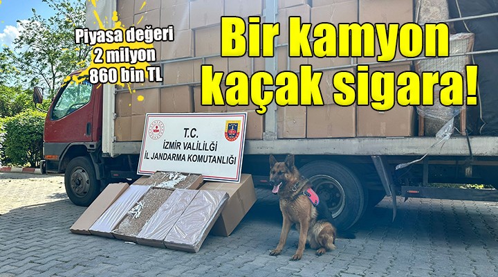 İzmir'de kaçak sigara operasyonu...