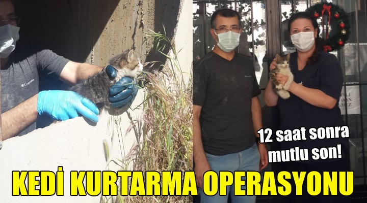 İzmir'de kedi kurtarma operasyonu!