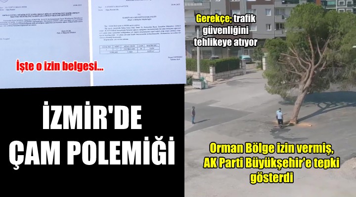 İzmir'de kesilen çam polemiği... Orman Bölge izin verdi, AK Parti tepki gösterdi!