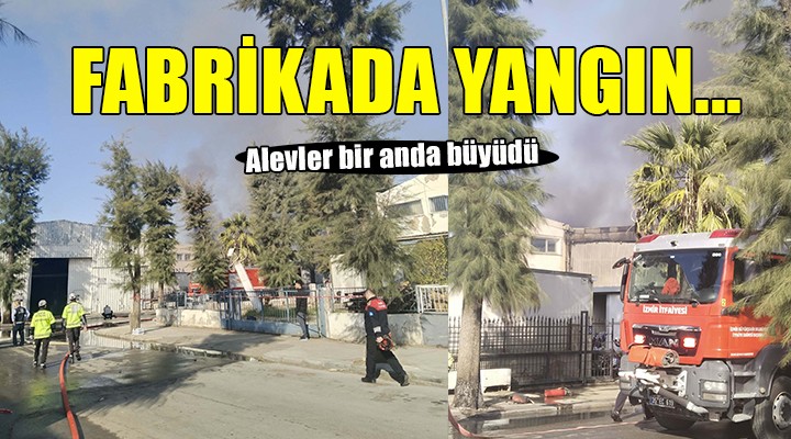 İzmir'de kimya fabrikasında yangın...