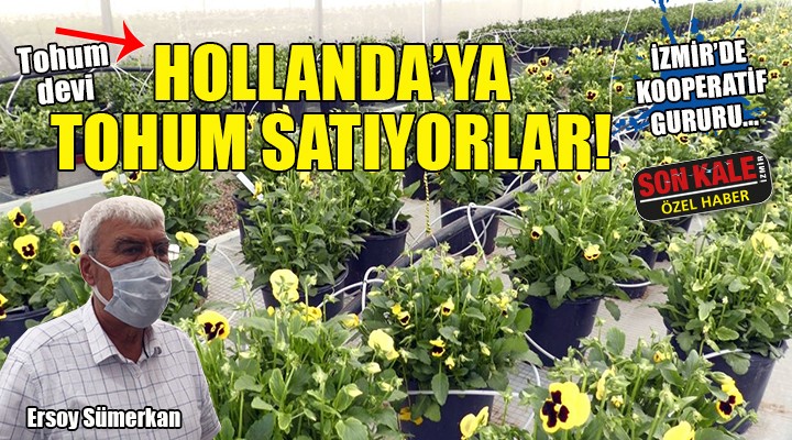 İzmir'de kooperatif gururu... Tohum devi Hollanda'ya tohum satıyorlar!