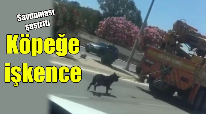 İzmir'de köpeğe işkence