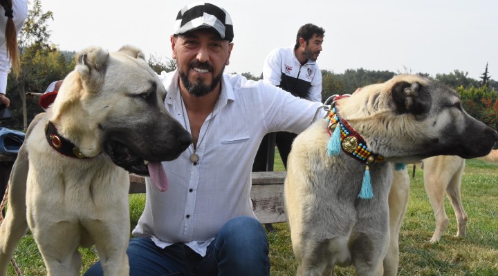 İzmir'de köpek yarışması...