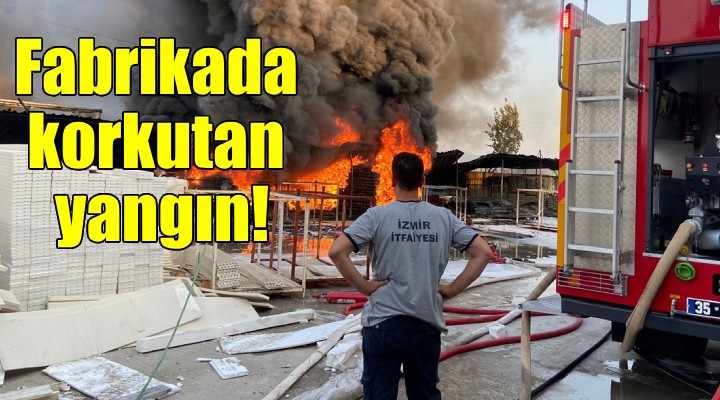 İzmir'de korkutan yangın...