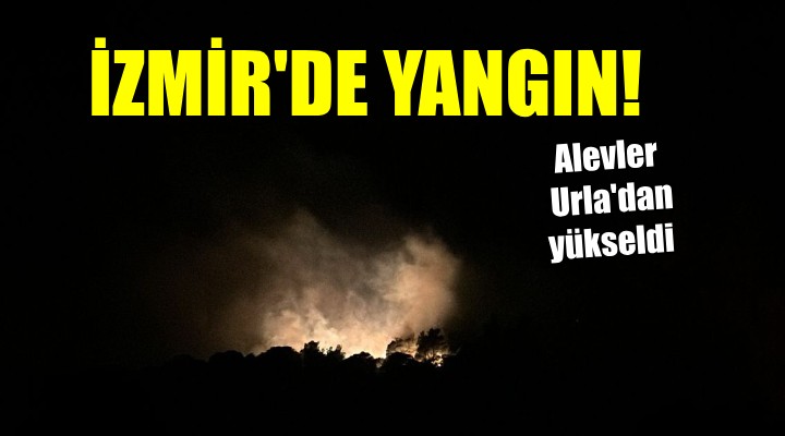 İzmir'de orman yangını... Alevler gece saatlerinde yükseldi!