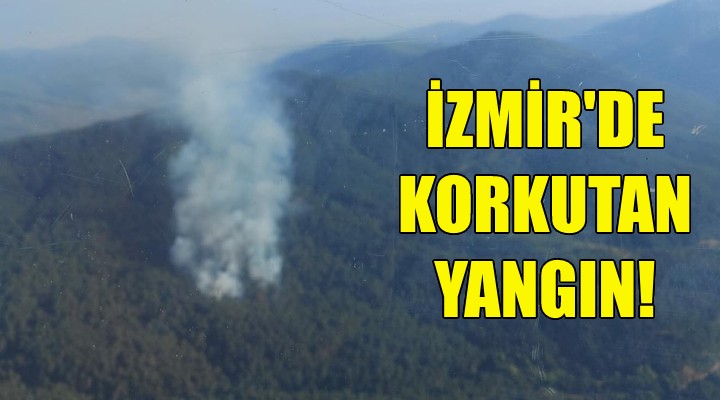 İzmir'de korkutan yangın!