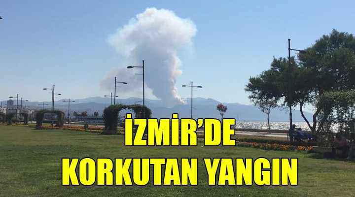 İzmir'de korkutan yangın!
