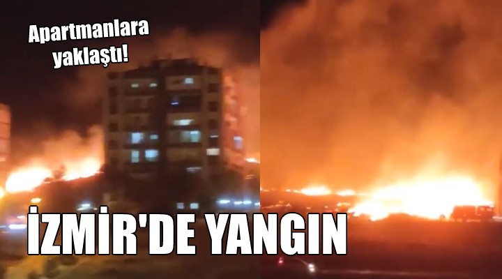 İzmir'de yangın... Apartmanlara yaklaştı!