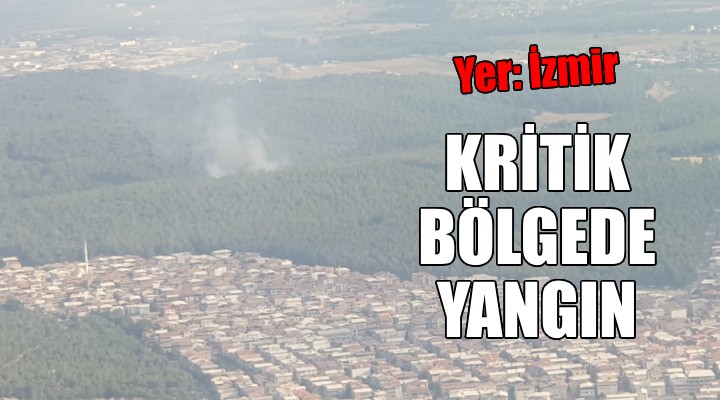 İzmir'de kritik bölgede orman yangını