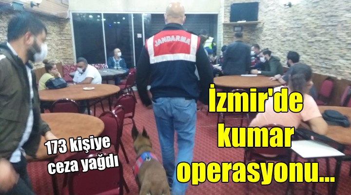 İzmir'de kumar operasyonu... 173 kişiye ceza yağdı