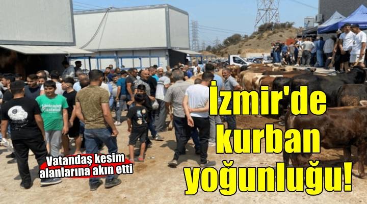 İzmir'de kurban kesim noktalarında yoğunluk