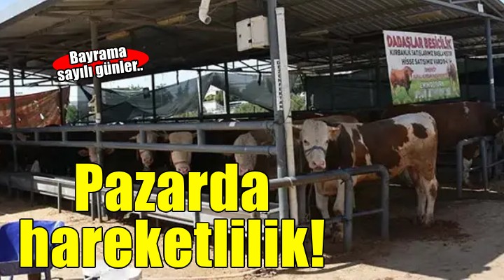 İzmir'de kurban pazarlarında hareketlilik