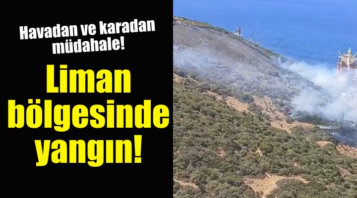 İzmir'de liman bölgesinde yangın!