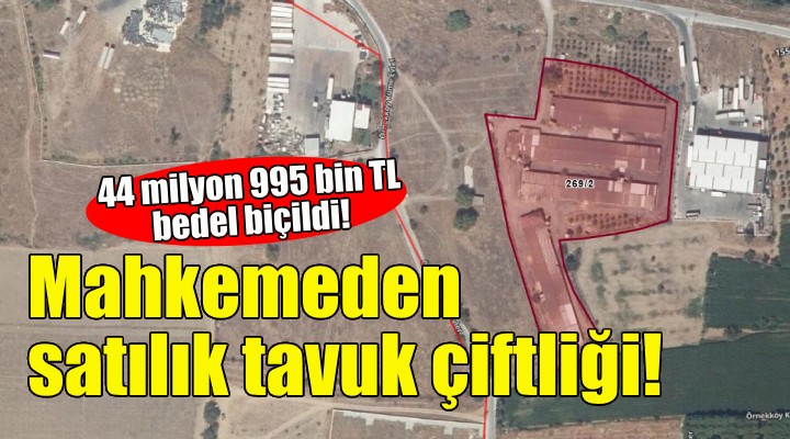 İzmir'de mahkemeden satılık tavuk çiftliği!