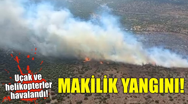 İzmir'de makilik yangını!