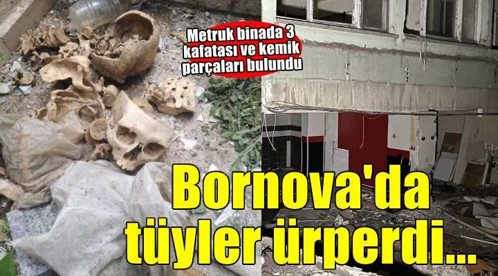 İzmir'de metruk binada poşetler içerisinde 3 kafatası ve kemik parçaları bulundu