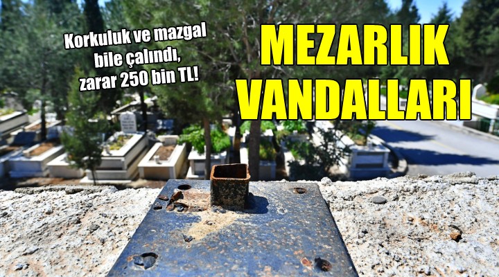 İzmir'de mezarlık vandalları...