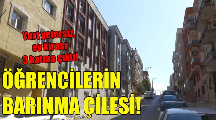 İzmir'de öğrencilerin barınma çilesi!