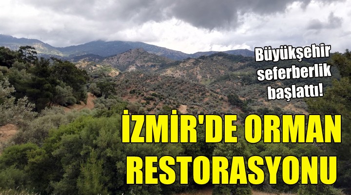 İzmir'de orman restorasyonu!