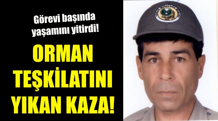 İzmir'de orman teşkilatını yıkan kaza!