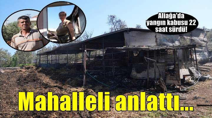 İzmir'de orman yangında ev ve ağılları kullanılamaz hale gelen mahalle sakinleri yaşadıklarını anlattı