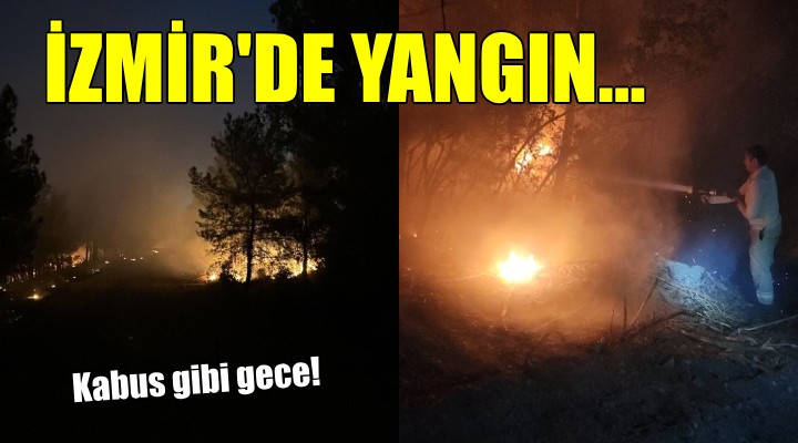 İzmir'de orman yangını...