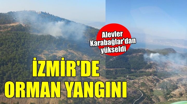 İzmir'de orman yangını...