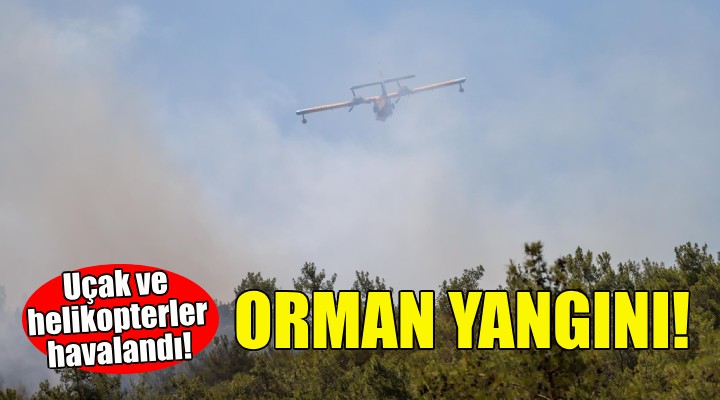 İzmir'de orman yangını... Alevler Menderes'ten yükseldi!