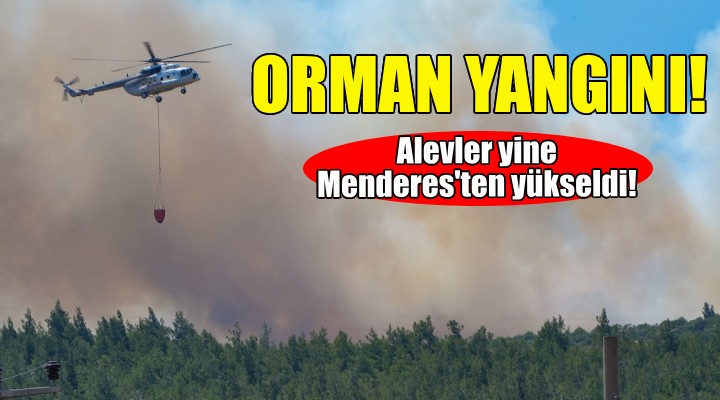 İzmir'de orman yangını!