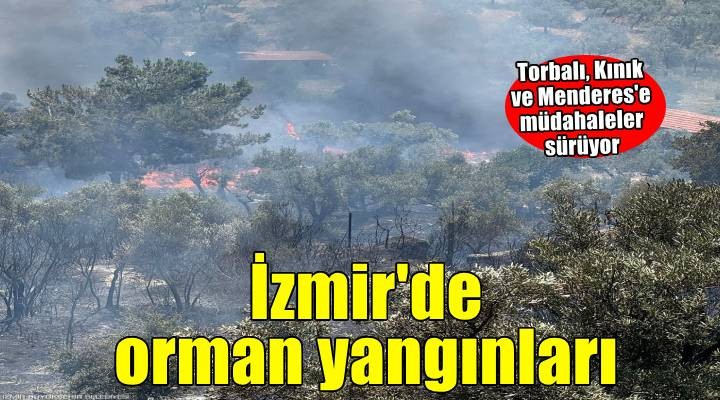 İzmir'de orman yangını