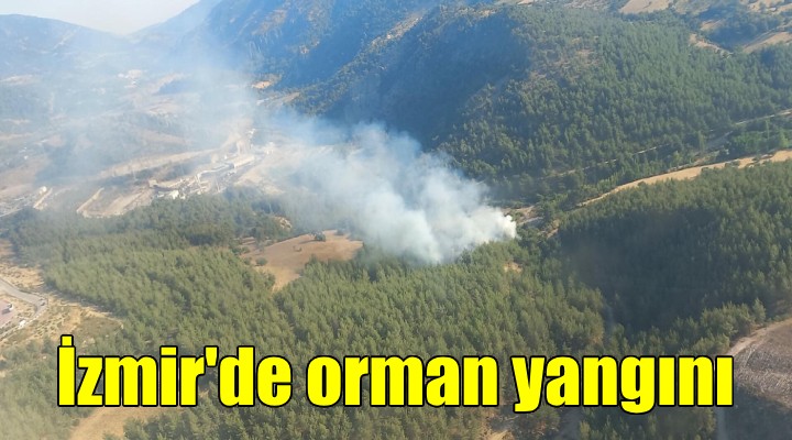 İzmir'de orman yangını