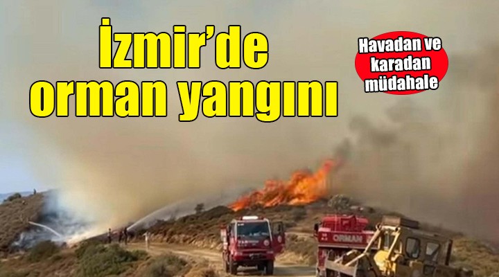 İzmir'de orman yangını