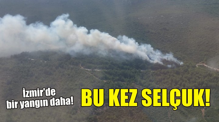 İzmir'de orman yangını... Alevler bu kez Selçuk'tan yükseldi!