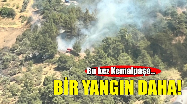 İzmir'de orman yangını... Bu kez Kemalpaşa!