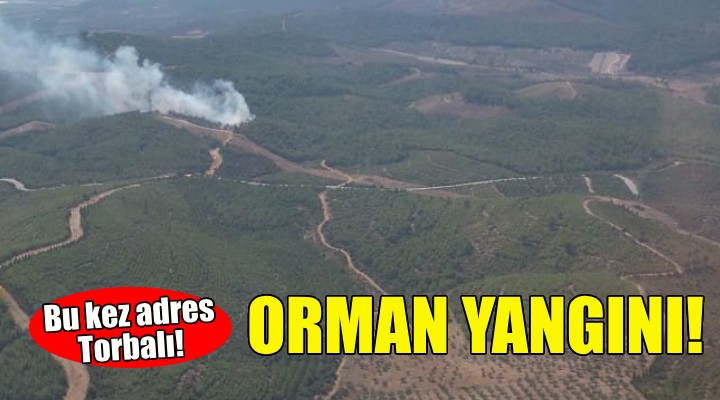 İzmir'de orman yangını... Bu kez adres Torbalı!