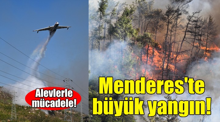 İzmir'de orman yangını... Havadan ve karadan müdahale ediliyor!