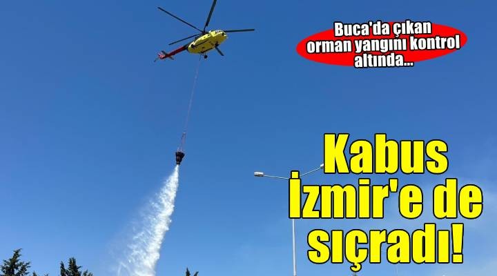 İzmir'de orman yangını: Kontrol altına alındı
