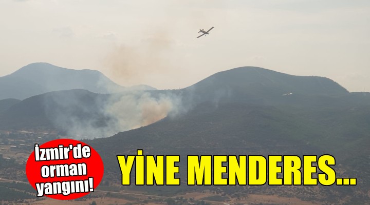 İzmir'de orman yangını: Yine Menderes...