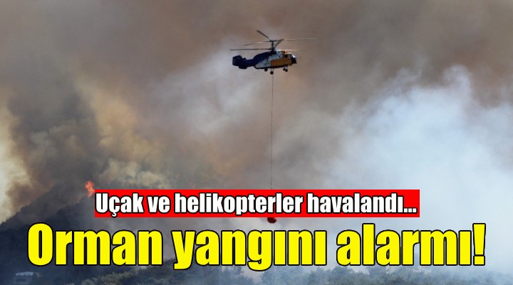 İzmir'de orman yangını alarmı!