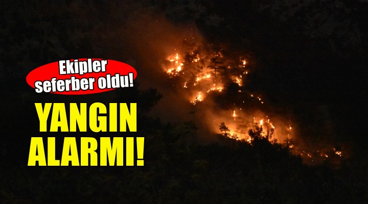 İzmir'de orman yangını alarmı!