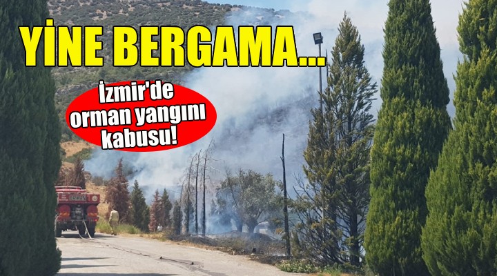 İzmir'de orman yangını kabusu... Yine Bergama!